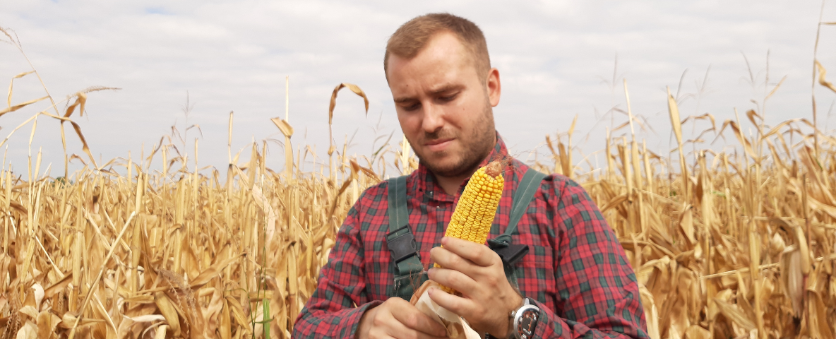 Nuovo bando giovani agricoltori in Friuli Venezia Giulia
